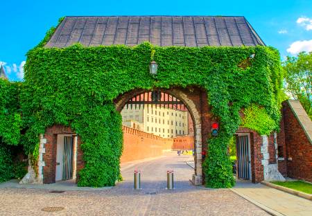 Wawel Castle Krakow Tour Guide
