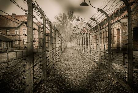 Auschwitz Birkenau Tour from Krakow