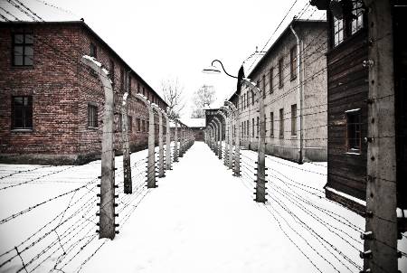 Auschwitz Krakow Concentration Camp